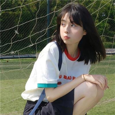 新灵犬莱西